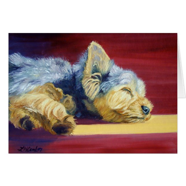 Yorkshire Terrier (Devant horizontal)