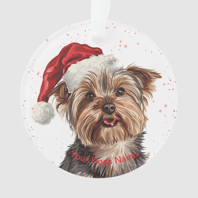 Yorkshire Terrier (devant)