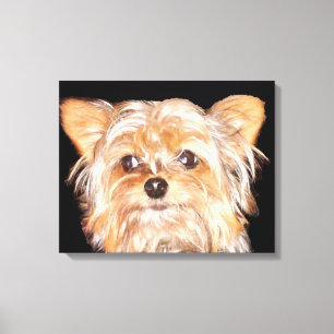 Yorkshire Terrier a étiré la copie de toile