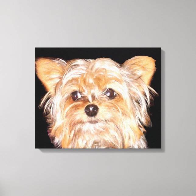 Yorkshire Terrier a étiré la copie de toile (Recto)