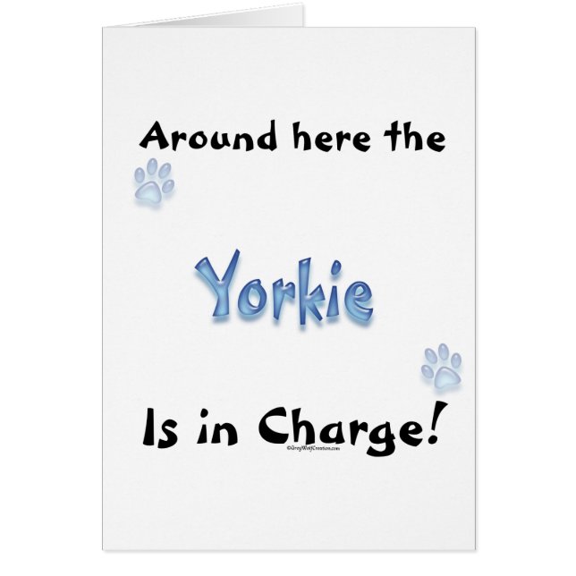 Yorkshire Terrier Charge (Devant)