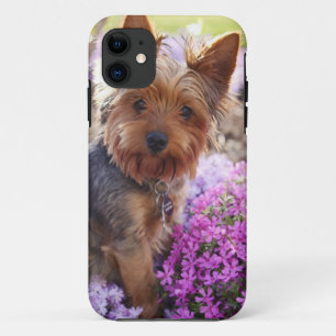Yorkshire Terrier coque iphone en bois sculpté