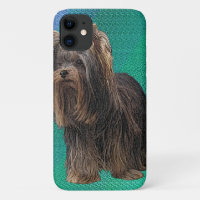 Yorkshire Terrier Coque Speck