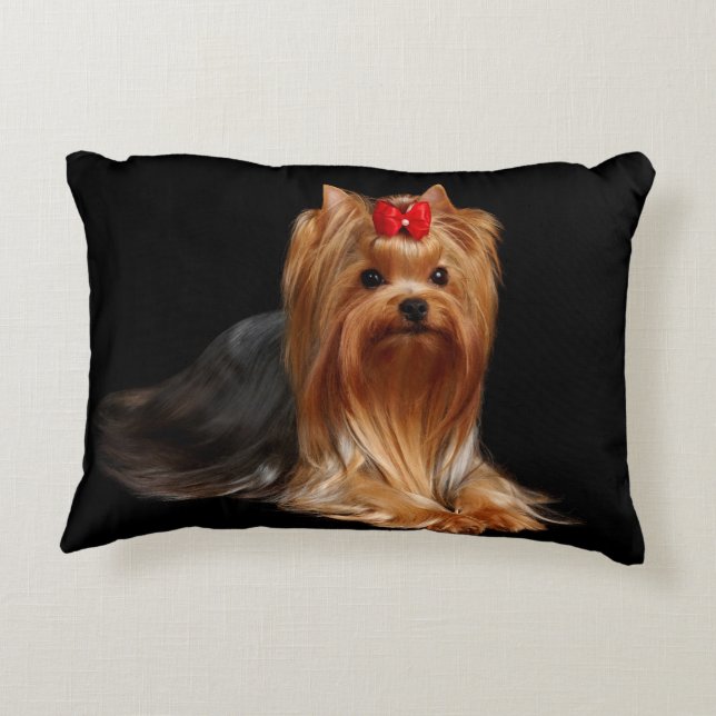 Yorkshire Terrier. Coussin (Dos)