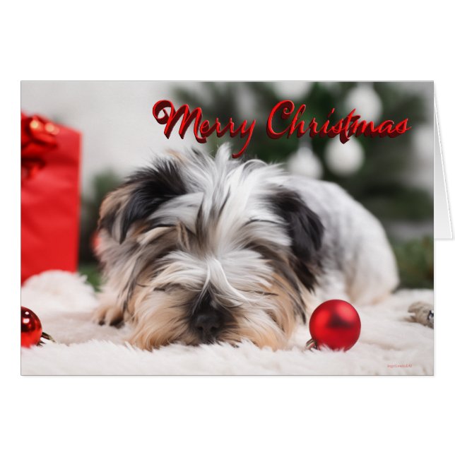 Yorkshire Terrier Cute Joyeux Noël (Devant horizontal)