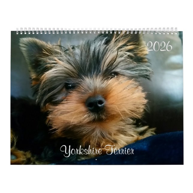 Yorkshire Terrier Cute Yorkies Calendrier 2024 (Protection)