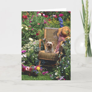 Yorkshire Terrier Dans La Carte De Voeux Du Jardin