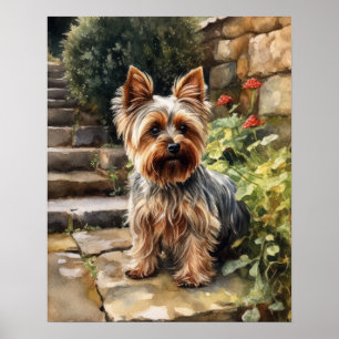Yorkshire Terrier Dog Art Imprimer Poster