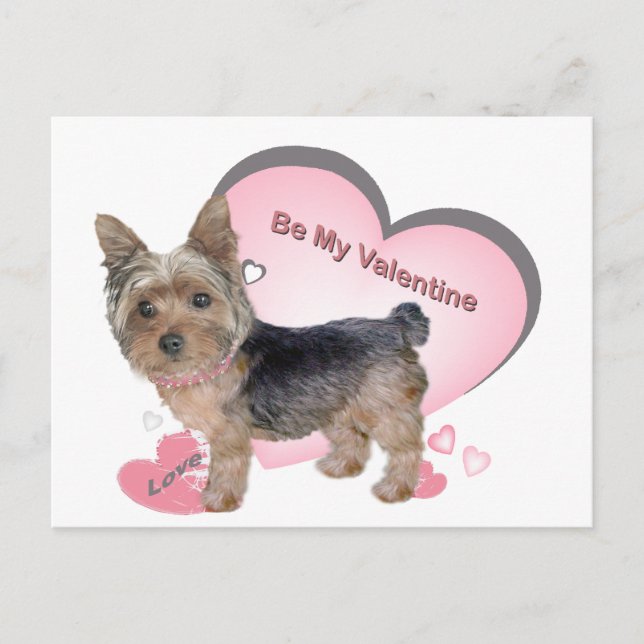 Yorkshire Terrier En Cartes Roses (Devant)