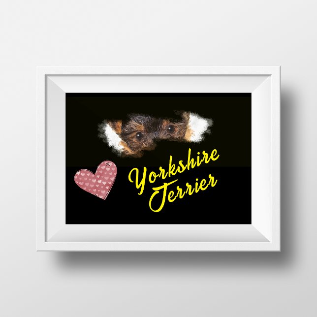 Yorkshire Terrier Eyes Solide Colour Poster (Créateur téléchargé)