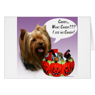 Yorkshire Terrier Halloween Candy