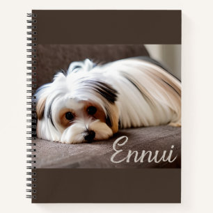 Yorkshire Terrier, Journal de l'Ennui 