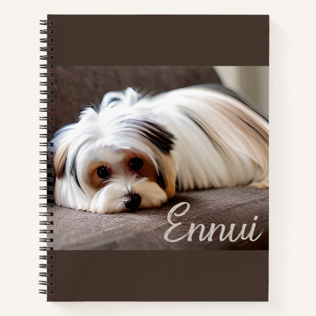 Yorkshire Terrier, Journal de l'Ennui  (Devant)