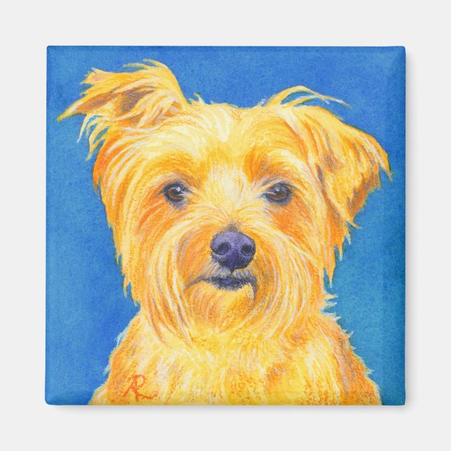 Yorkshire Terrier Magnet - "Sammy" (Devant)