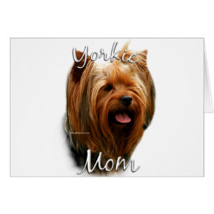 Yorkshire Terrier Maman 2
