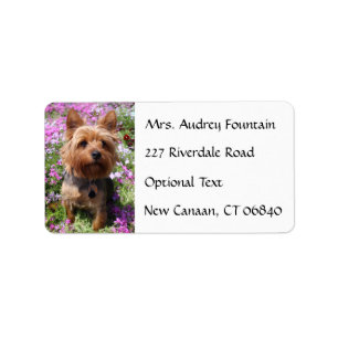 Yorkshire Terrier Nom du chiot Adresse Étiquette 