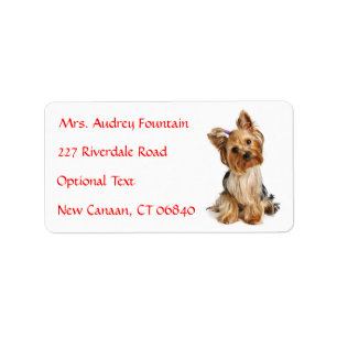 Yorkshire Terrier Nom du chiot Adresse Étiquette d