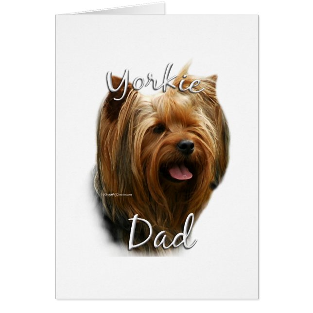 Yorkshire Terrier Papa 2 (Devant)