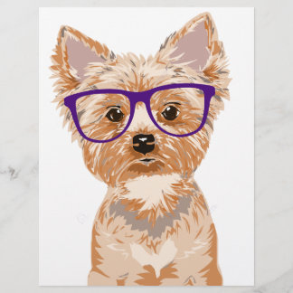 Yorkshire Terrier Portant des Lunettes