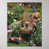 Yorkshire Terrier Poster Garden
