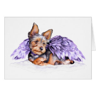 Yorkshire Terrier Yorkie Angel