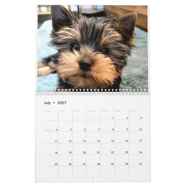 Yorkshire Terrier Yorkies Calendrier 2022 (Jul 2027)