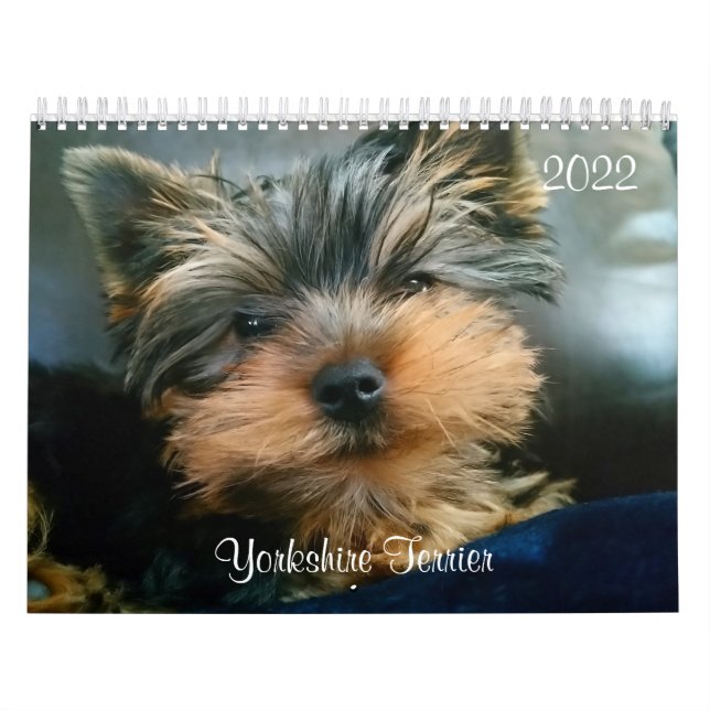 Yorkshire Terrier Yorkies Calendrier 2022 (Protection)