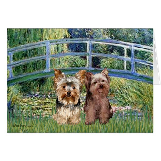 Yorkshire Terriers (17-18) - Pont (Devant horizontal)