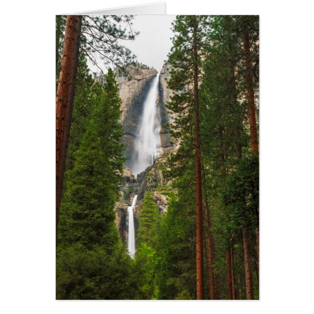 Yosemite Falls à travers la forêt (Devant)