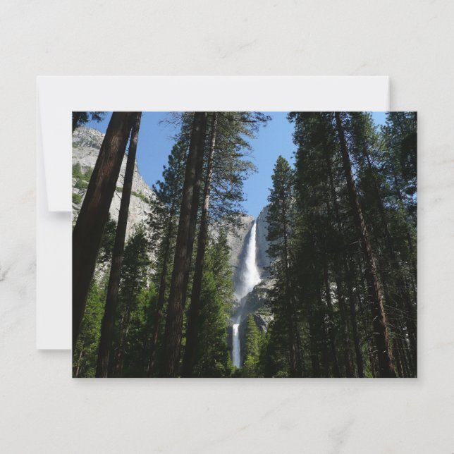 Yosemite Falls et Woods Paysage Photographie (Devant)