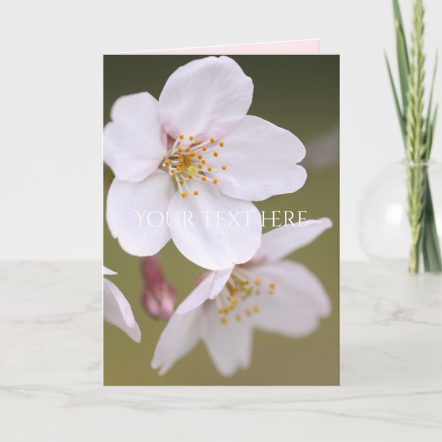 Yoshino Cherry : Cartes pliées (Devant)