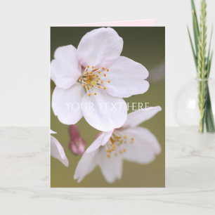 Yoshino Cherry : Cartes pliées