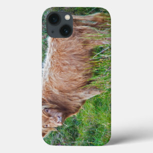 Young Highland Cow coque ipad