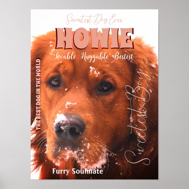 Your Famous Pet Poster (Devant)