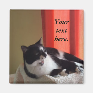 Your Text Words Tuxedo Cat Photo Magnets