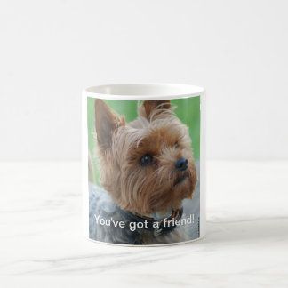 You've got a friend - Yorkshire-terrier - Mug