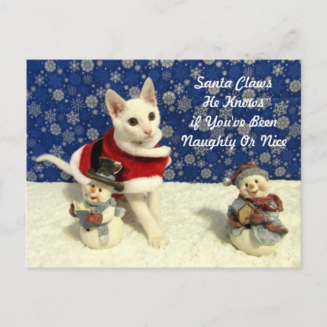 Yuki's Christmas - Chat / Carte postale de Noël Ki (Devant)