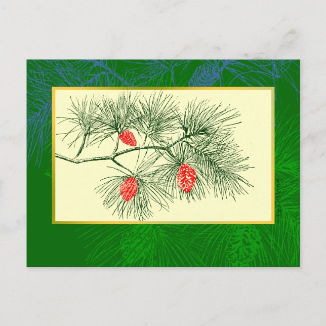 Yule Pine Branch Carte postale Vintage (Devant)
