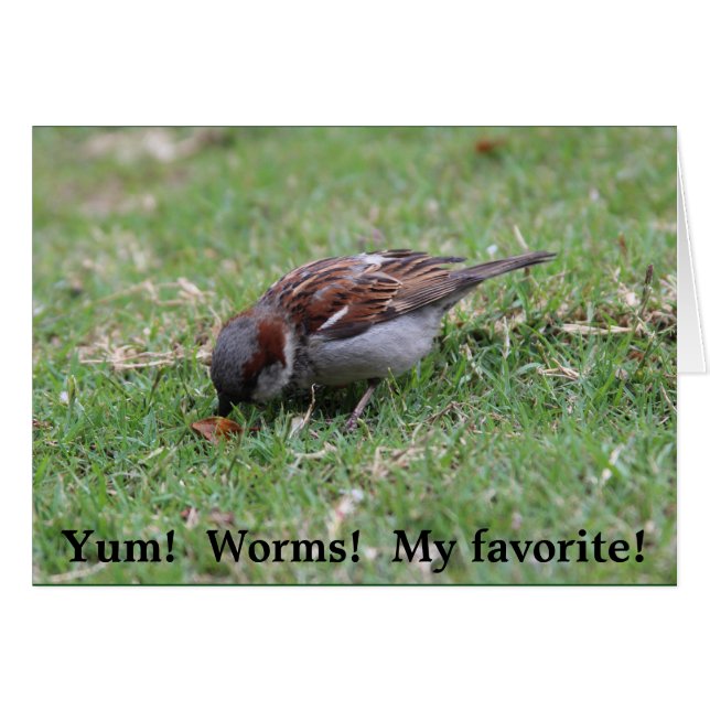 Yum !  Vers ! (Devant horizontal)