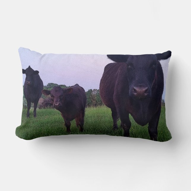 Yup Kow maintenant ! Coussin de vache (Recto)