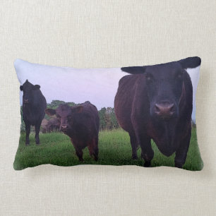 Yup Kow maintenant ! Coussin de vache