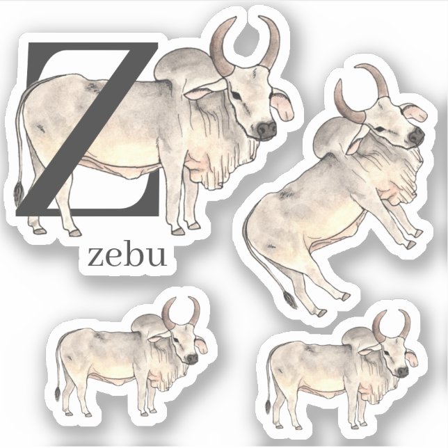Z pour Stickers Zebu (Devant)