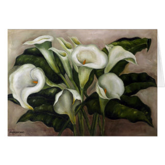Zantedeschia