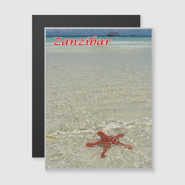 Zanzibar - Sea View - Starfish - (Devant / Derrière)