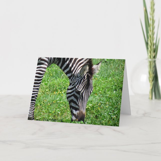 Zebra (2412) - Carte de voeux (Devant)