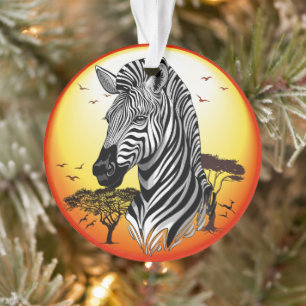 Zebra African Savanna Wild Animal