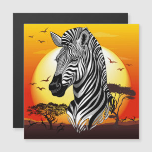 Zebra African Savanna Wild Animal