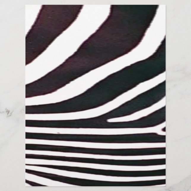 Zebra Black and White Stripes Imprimer (Devant)
