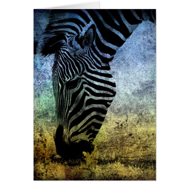 Zebra Blue et Green Grunge (Devant)
