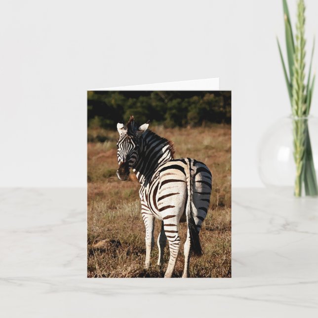Zebra derrière la carte de voeux modifiable (Devant)